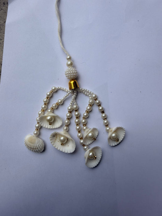Seashell Latkan