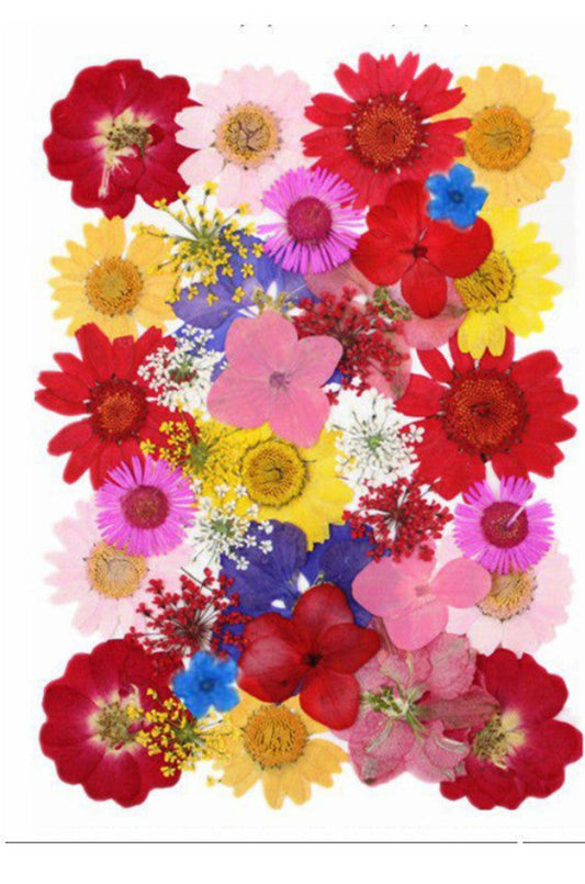 Pressed Flower - Shyamresinstore